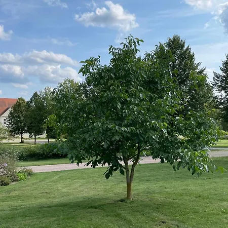 Ferienhaus Weisdin *