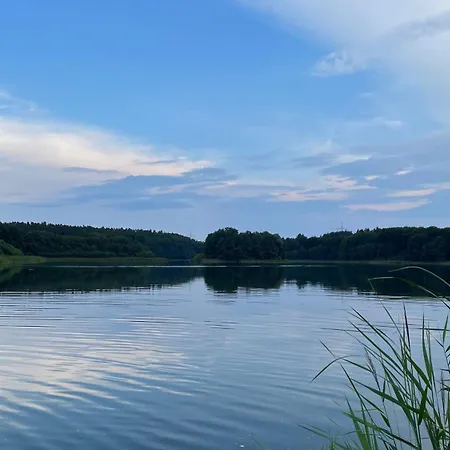 Ferienhaus Weisdin Weisdin
